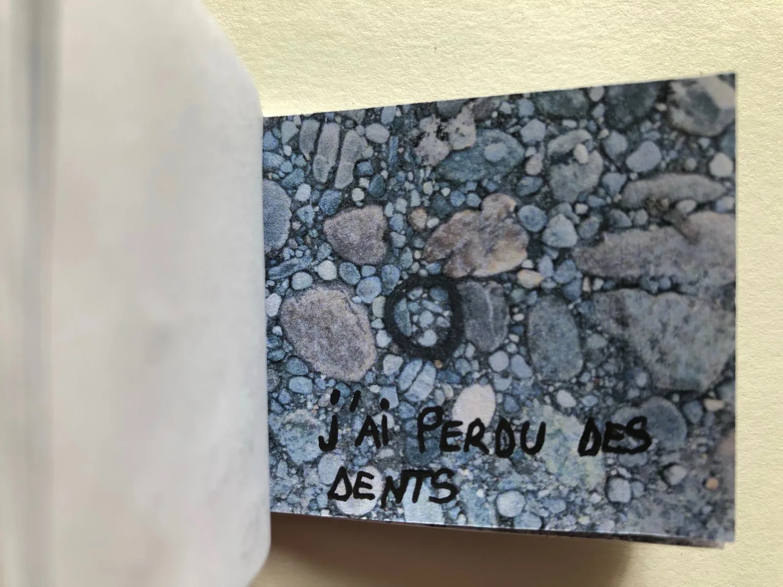 J'ai une collection d'élastiques 2021