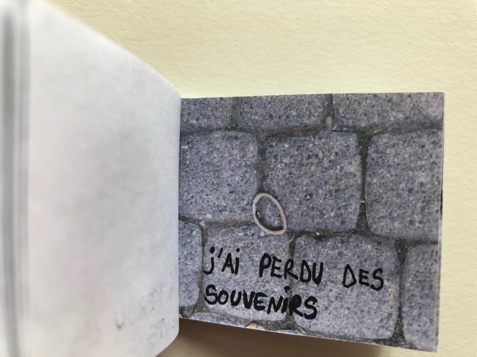 J'ai une collection d'élastiques 2021