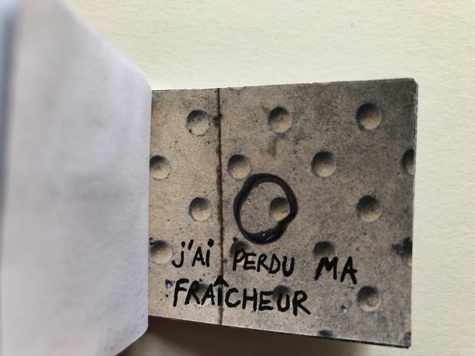 J'ai une collection d'élastiques 2021