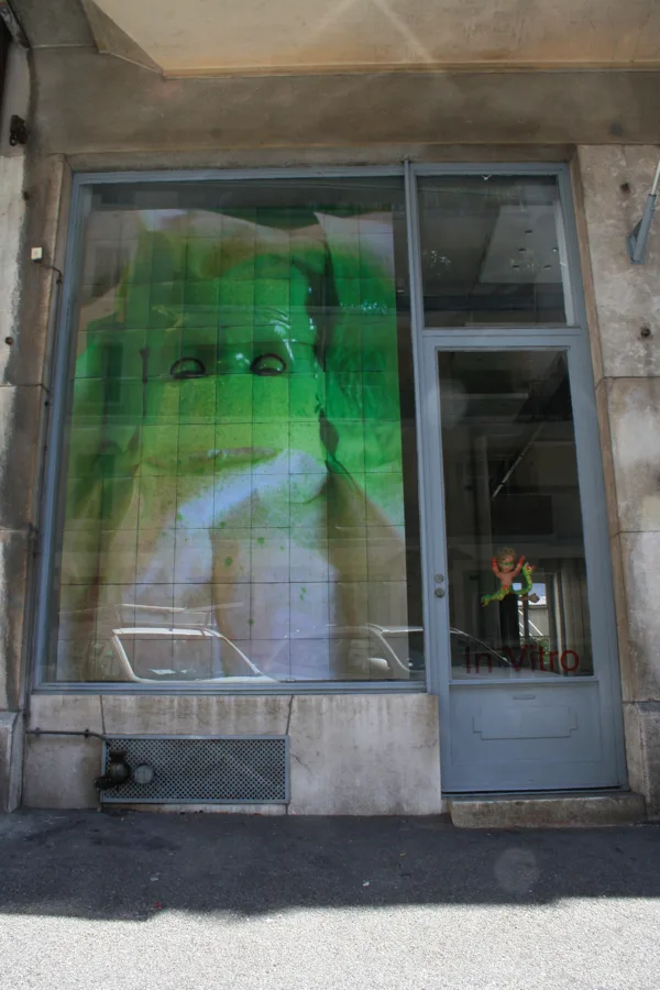 Installation In Vitro 2010