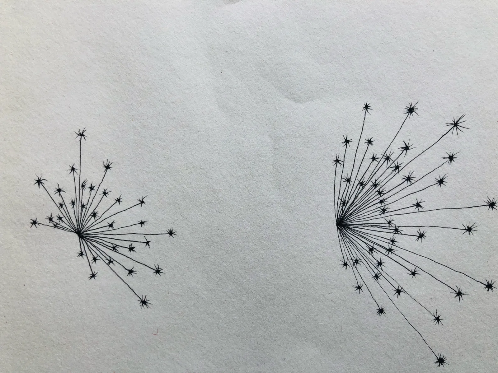 J'aurais voulu que tu nous aimes, ma nature et moi 2018