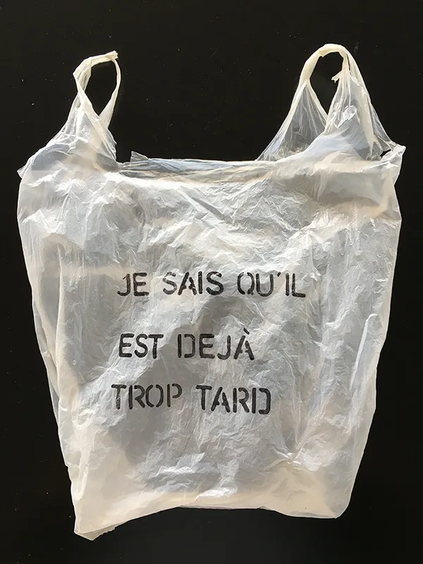 Je Sais Quil Est Deja Trop Tard