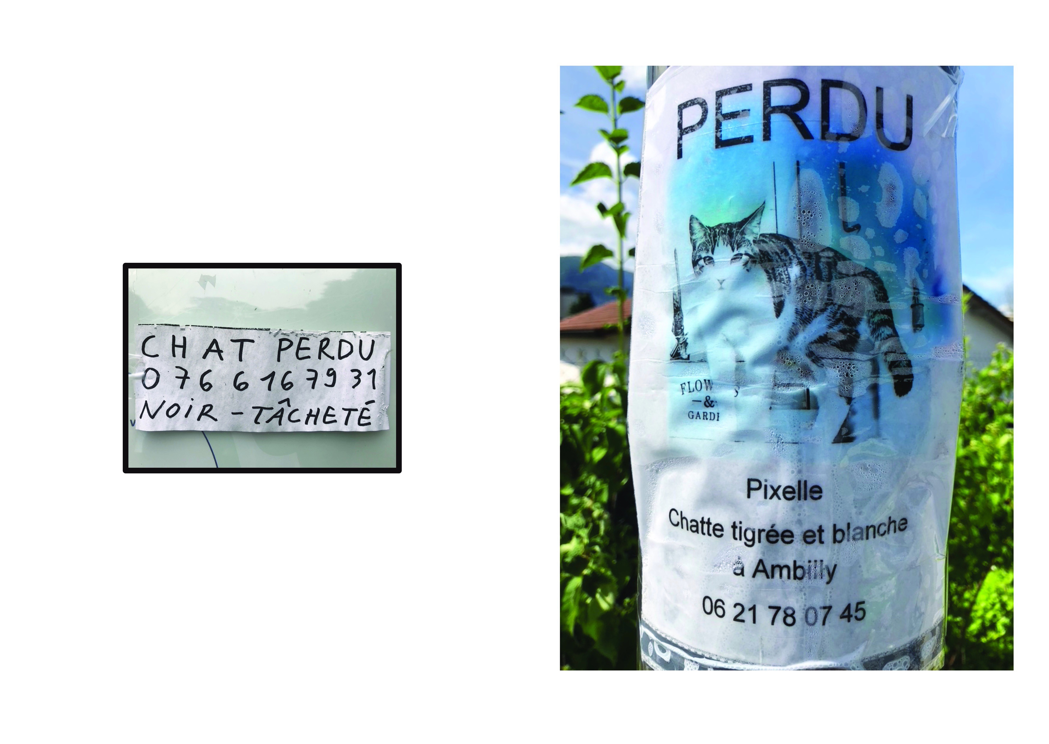 Perdus