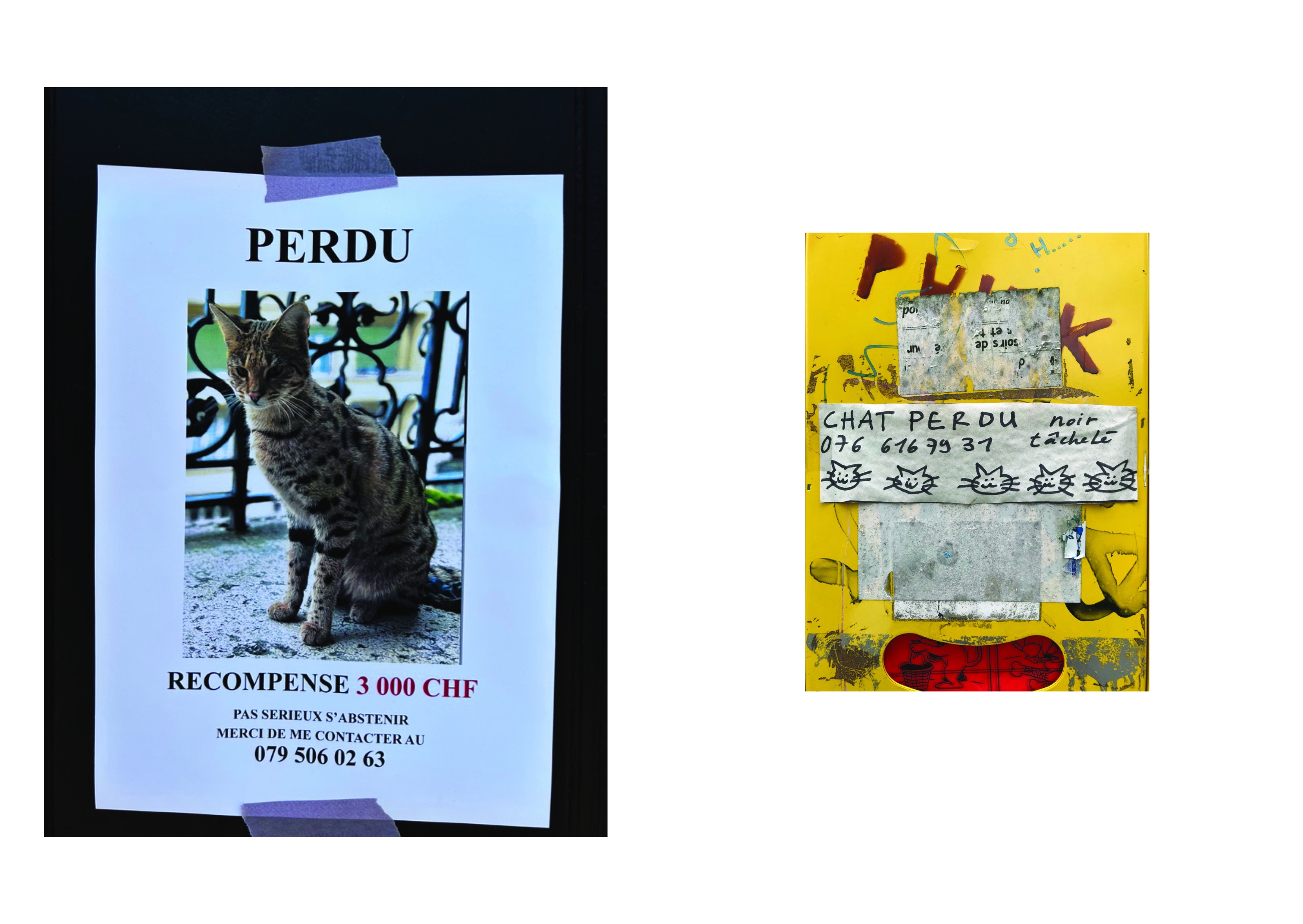 Perdus
