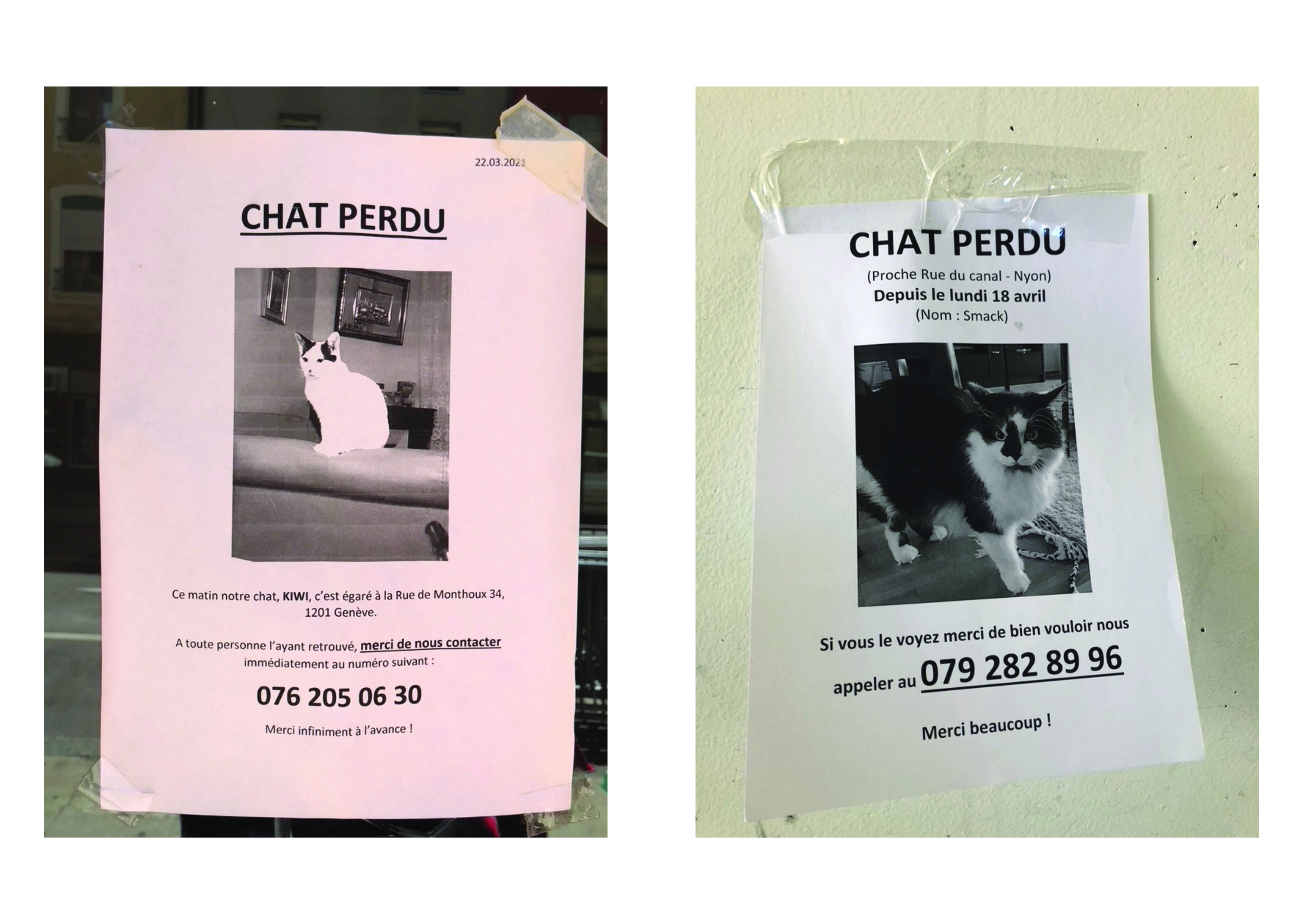 Perdus