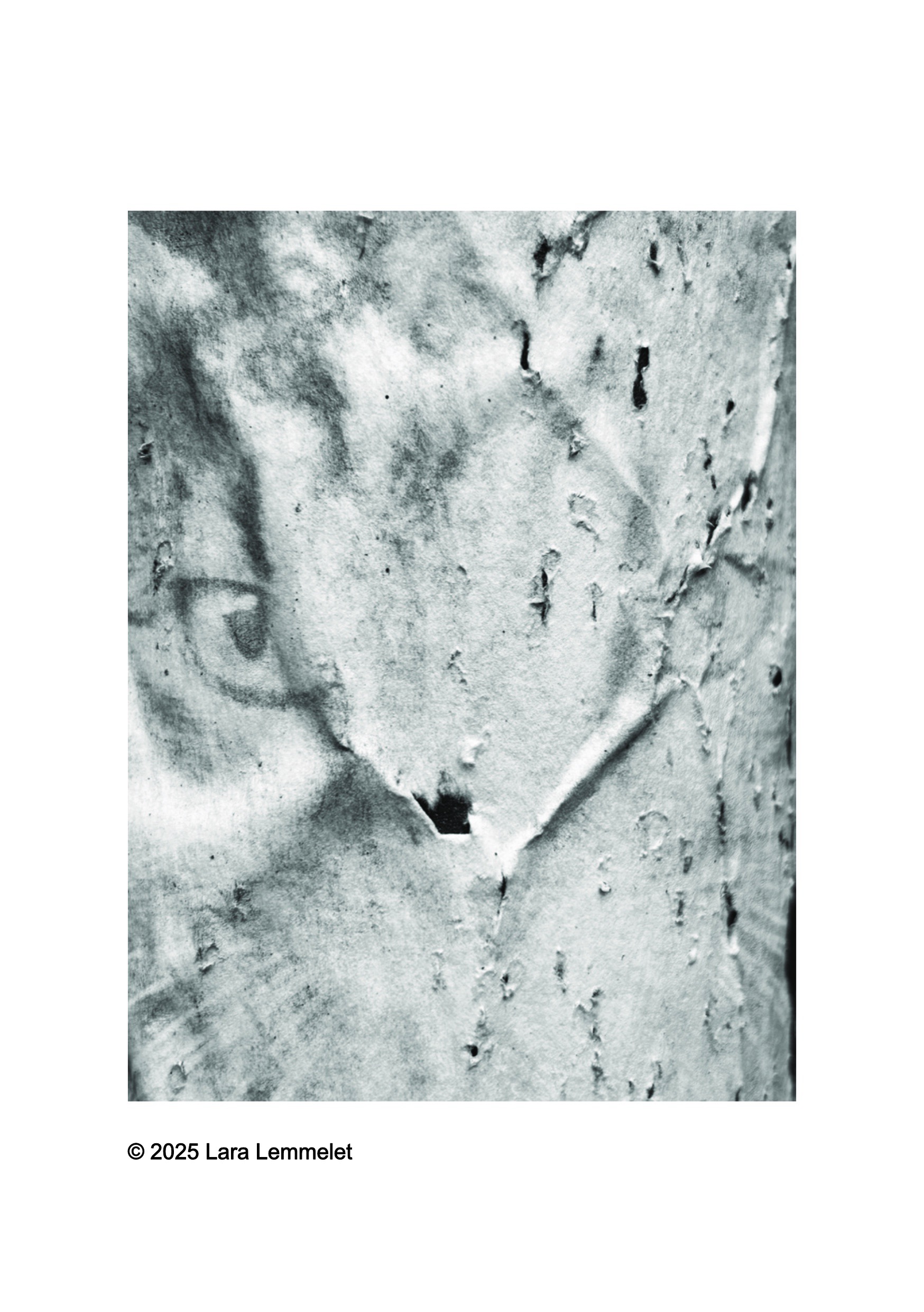 Perdus